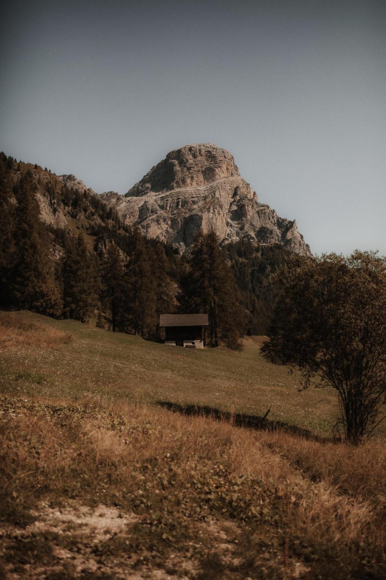 Chalet Roenn Колфоско Екстериор снимка
